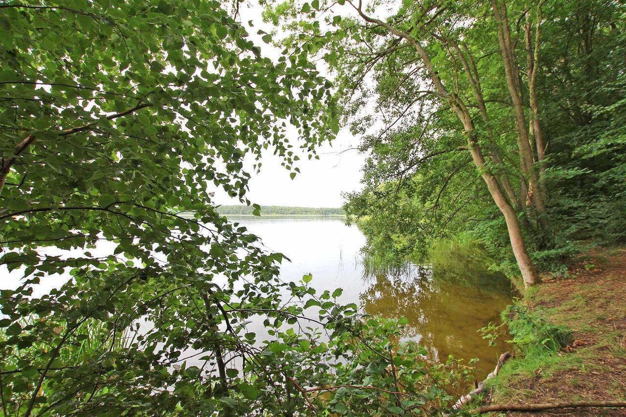 Ferienwohnung Im Forsthaus Am See Schwarz Dış mekan fotoğraf